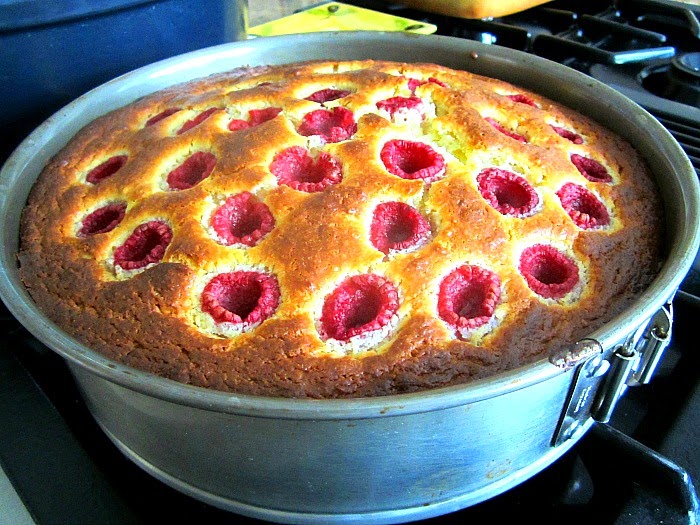 Raspberry Ricotta Cheesecake w/ Chocolate Cookie Crust