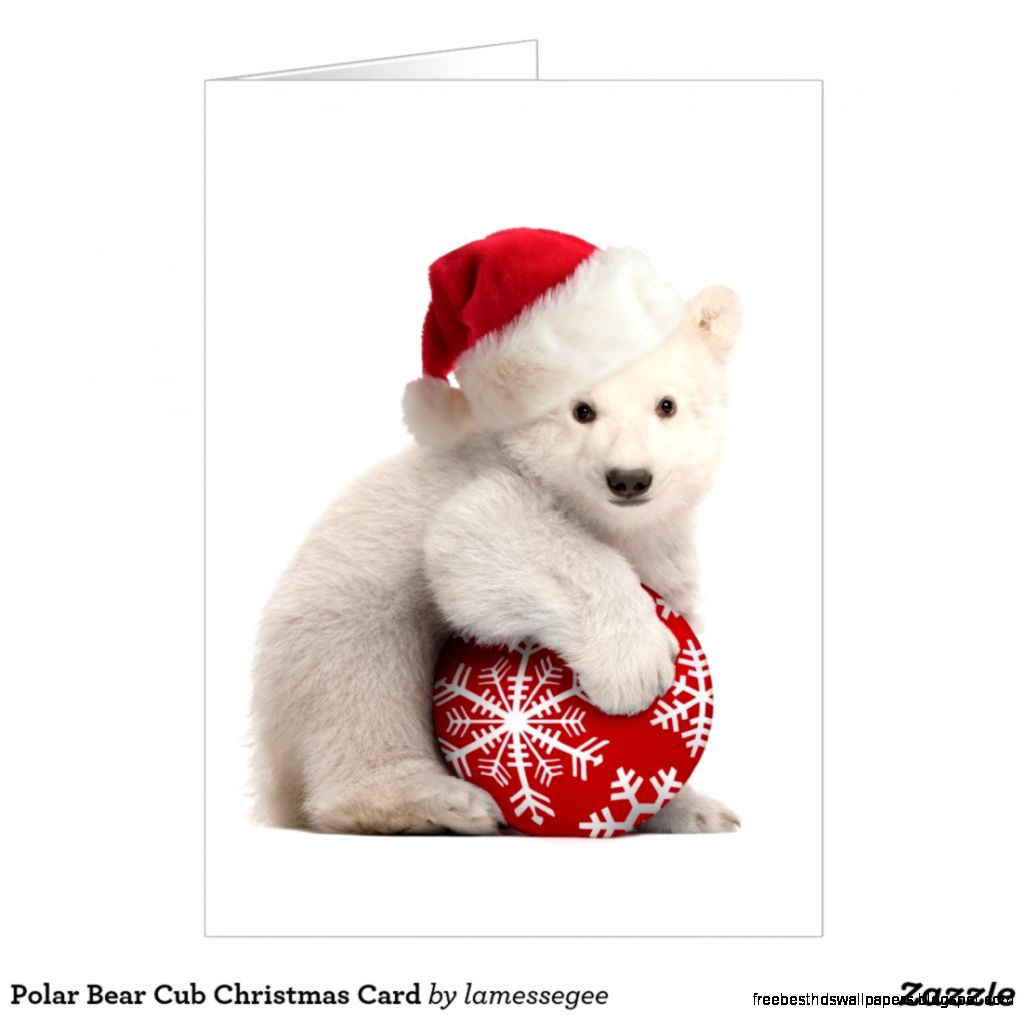 Polar Bear Christmas Gifts Polar Bear Christmas Gift Ideas on Zazzle Polar Bear Christmas Gifts Polar Bear Christmas Gift Ideas on Zazzle