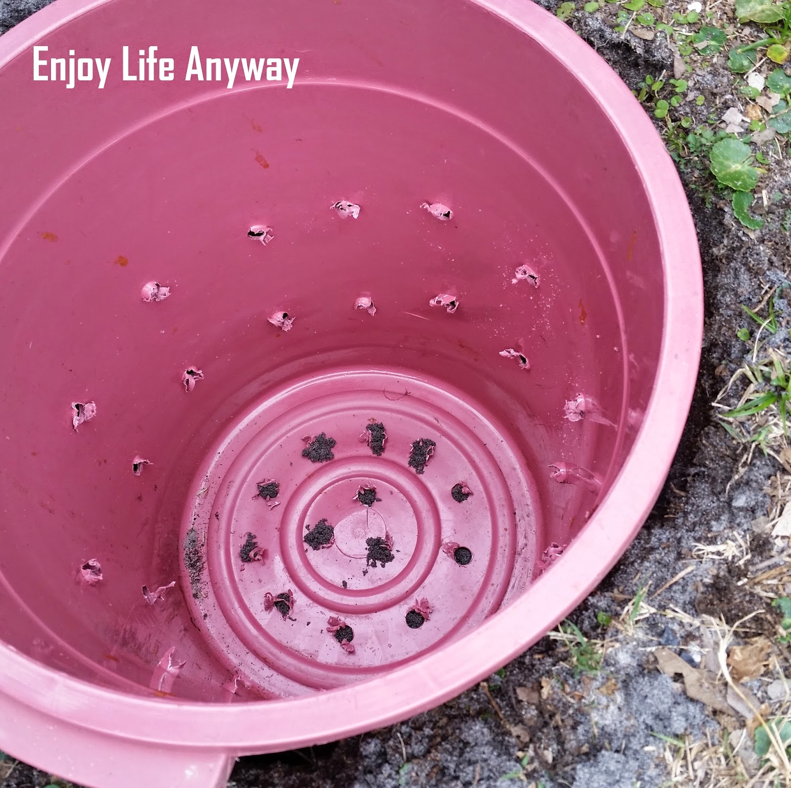 Enjoy Life Anyway Use Your Kitchen Scraps to Enrich Soil (Without