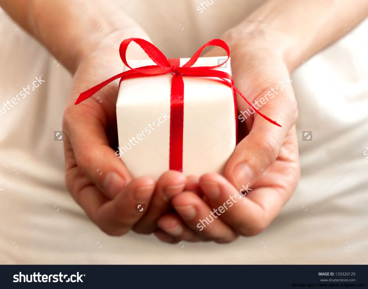 Female Hands Holding Small Gift With Ribbon Stock Photo 129320129 Female Hands Holding Small Gift With Ribbon Stock Photo 129320129