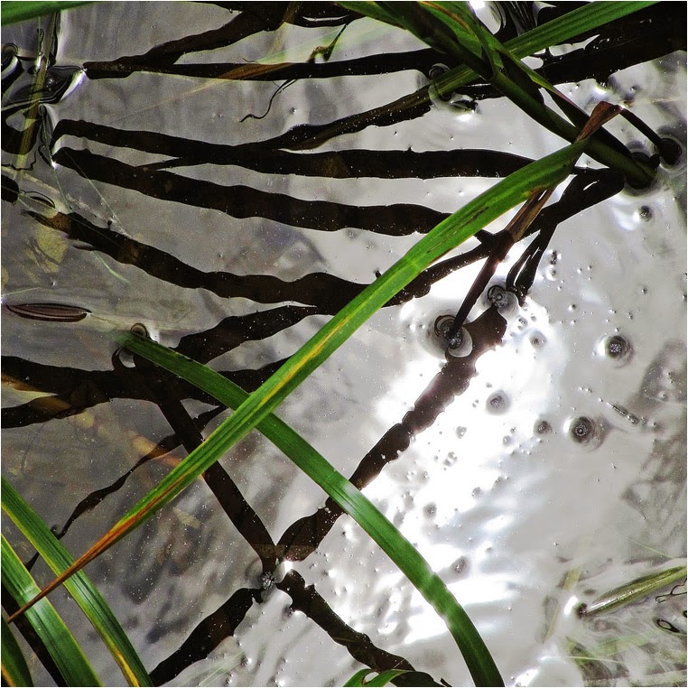Compact Camera, Best Photo of the Day in Emphoka by Al tuttle, Canon PowerShot SX230 HS, https://flic.kr/p/cRR5AL Compact Camera, Best Photo of the Day in Emphoka by Al tuttle, Canon PowerShot SX230 HS, https://flic.kr/p/cRR5AL