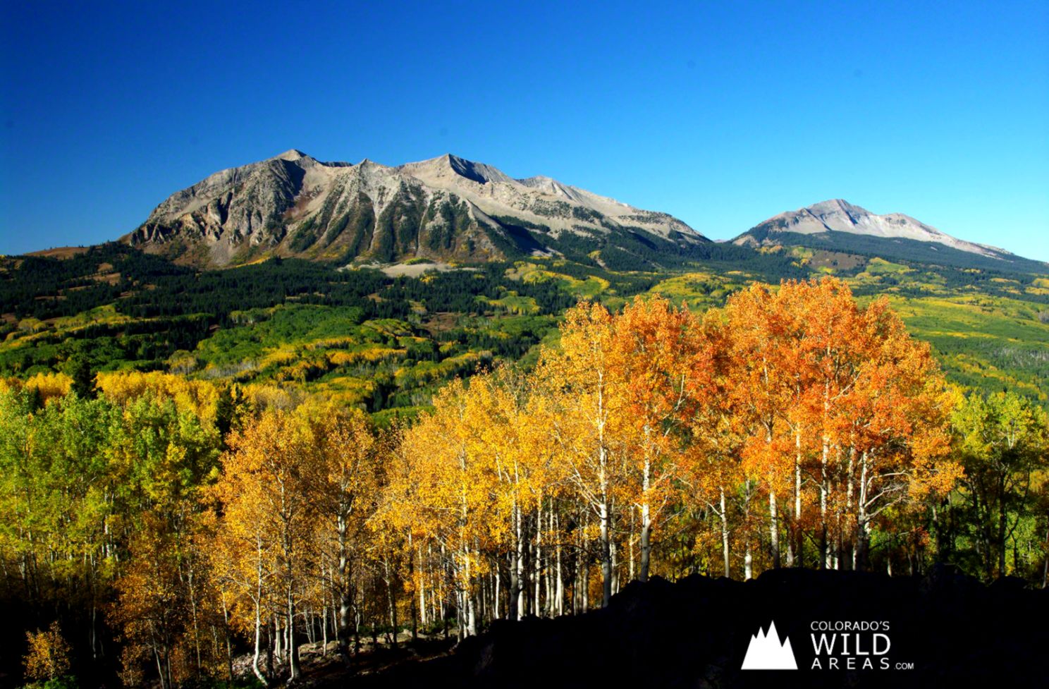Colorado39s Fall Colors Free Wallpaper Colorado39s Wild Areas Colorado39s Fall Colors Free Wallpaper Colorado39s Wild Areas