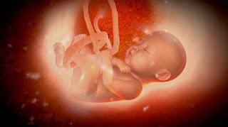 Η Έκτρωση είναι Φονική Ενέργεια που γίνεται με την συγκατάθεση της μητέρας.