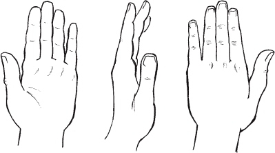 Liam Roberts BAGD YR2: Arm Anatomy Reference