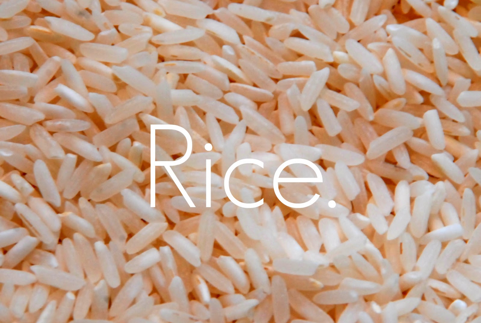 This American Home Pintastic The DIY Rice Sock
