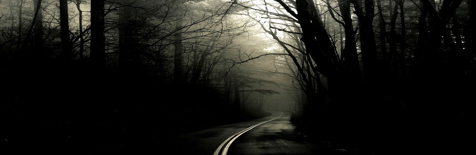 3360X1050 Dual Monitor Forest Wallpaper 3360X1050 Dual Monitor Forest Wallpaper