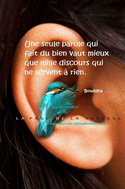La Page De La Sagesse Citations De Bouddha