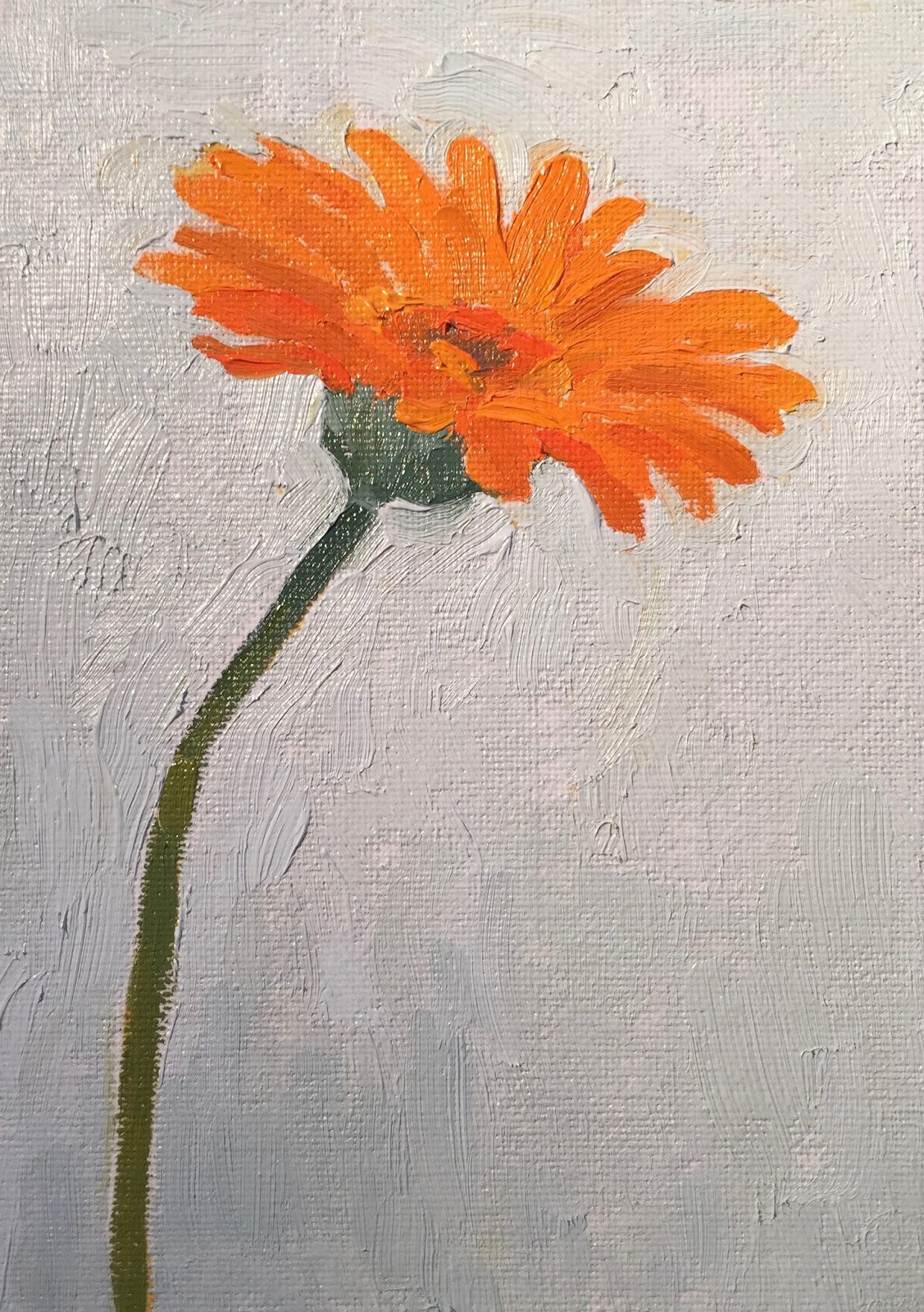 Daily Painting 3 Gerbera 5x7 Oil On Board Clare Bowen