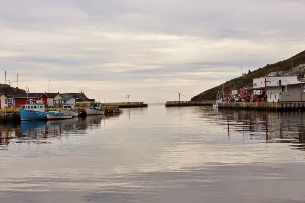 ICH Blog Petty Harbour Oral History Project Interviewer