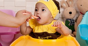 Jellymom: Jellymom Jumbo Seat