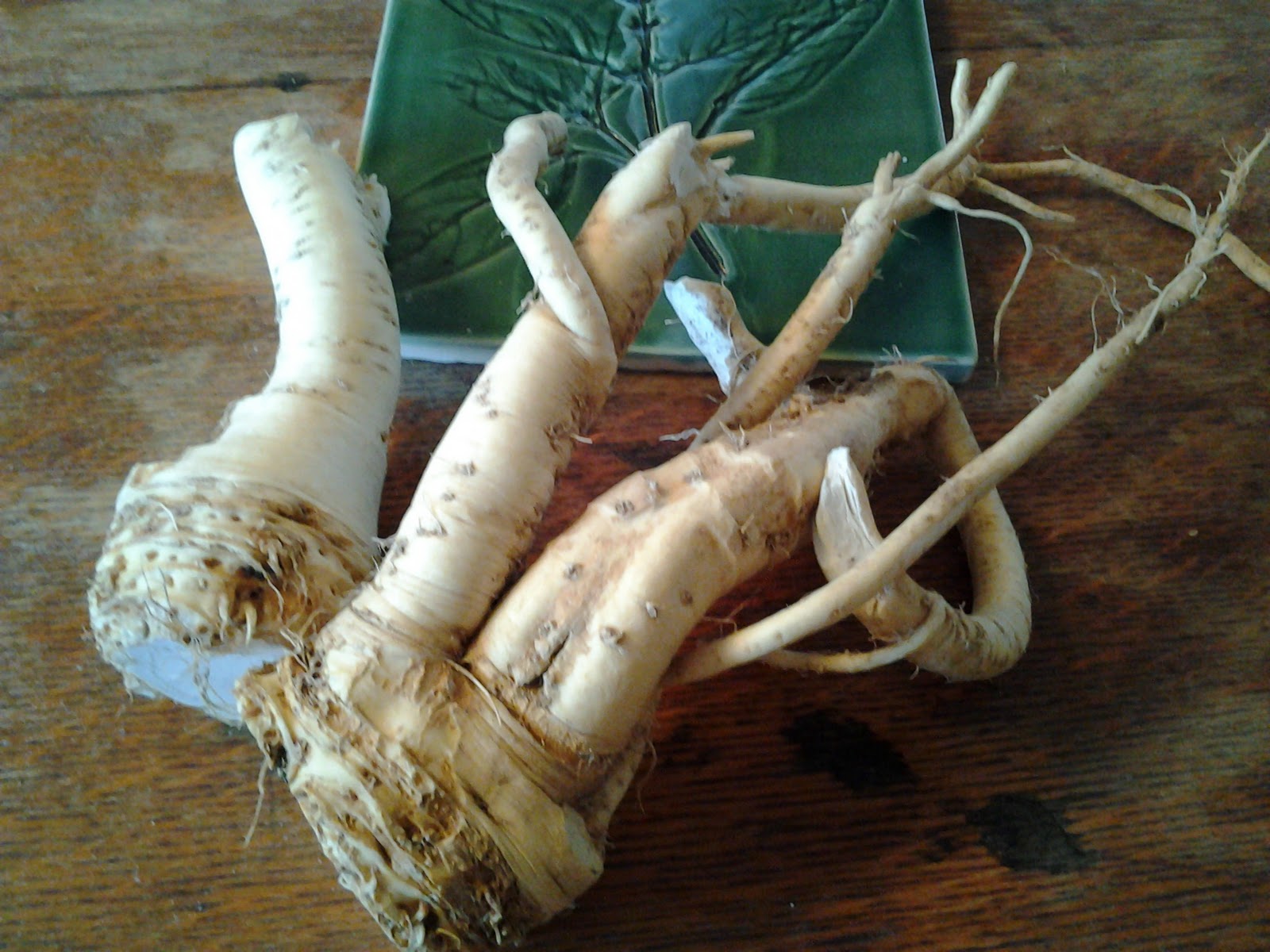 Longhaul Farm Preserving Horseradish