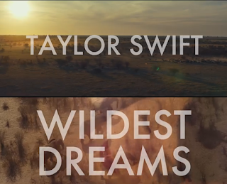 Taylor Swift Wildest Dream Lyrics