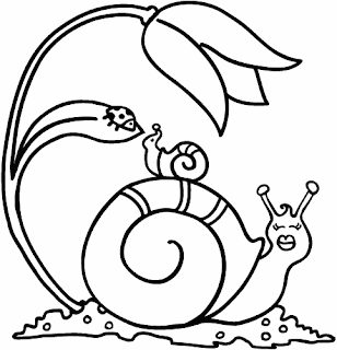 caracol