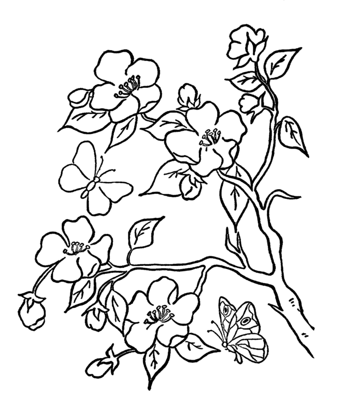 Kids Page: - Summer - Kids Trees And Flowers Coloring Pages