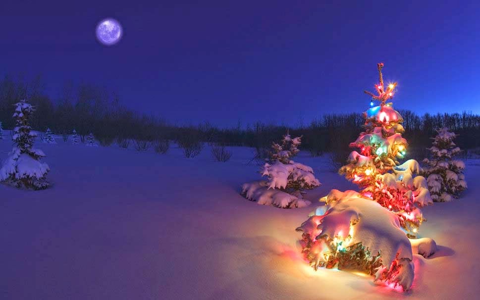 tree-snow-garland-good-night