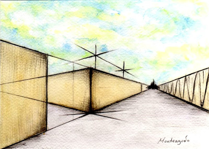 DIANA MONTEAGUDO TORRES