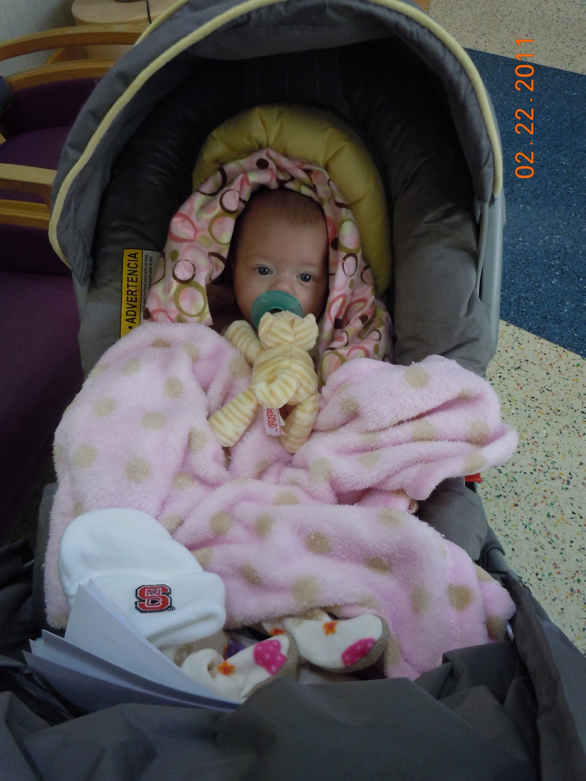 Baby Claire's Blog Hair Tourniquets and Preop Appointments