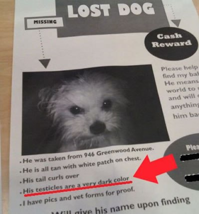 lost+dog+his+testicles+are+a+really+dark+color+dr+heckle+funny+fail+pictures.jpg