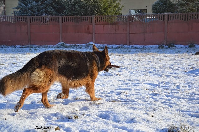DSC_0352.JPG