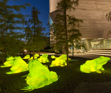 Best buildings and Beautiful places of the world: Perot Museum of