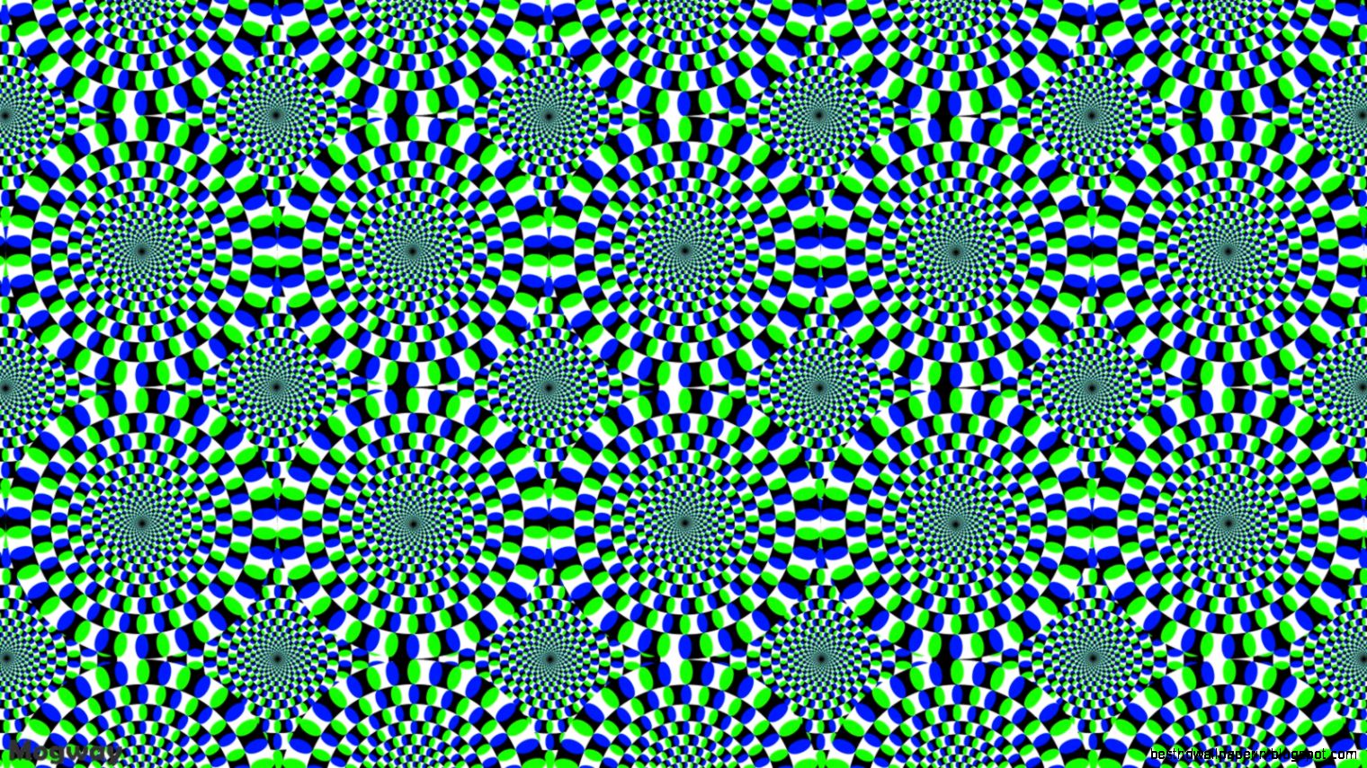 Moving Optical Illusions Moving Optical Illusions
