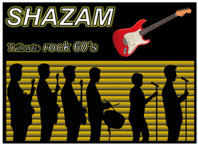 SHAZAM : Rock 60's : Shadows - Cliff RICHARD - Chuck BERRY - Elvis PRESLEY - Johnny