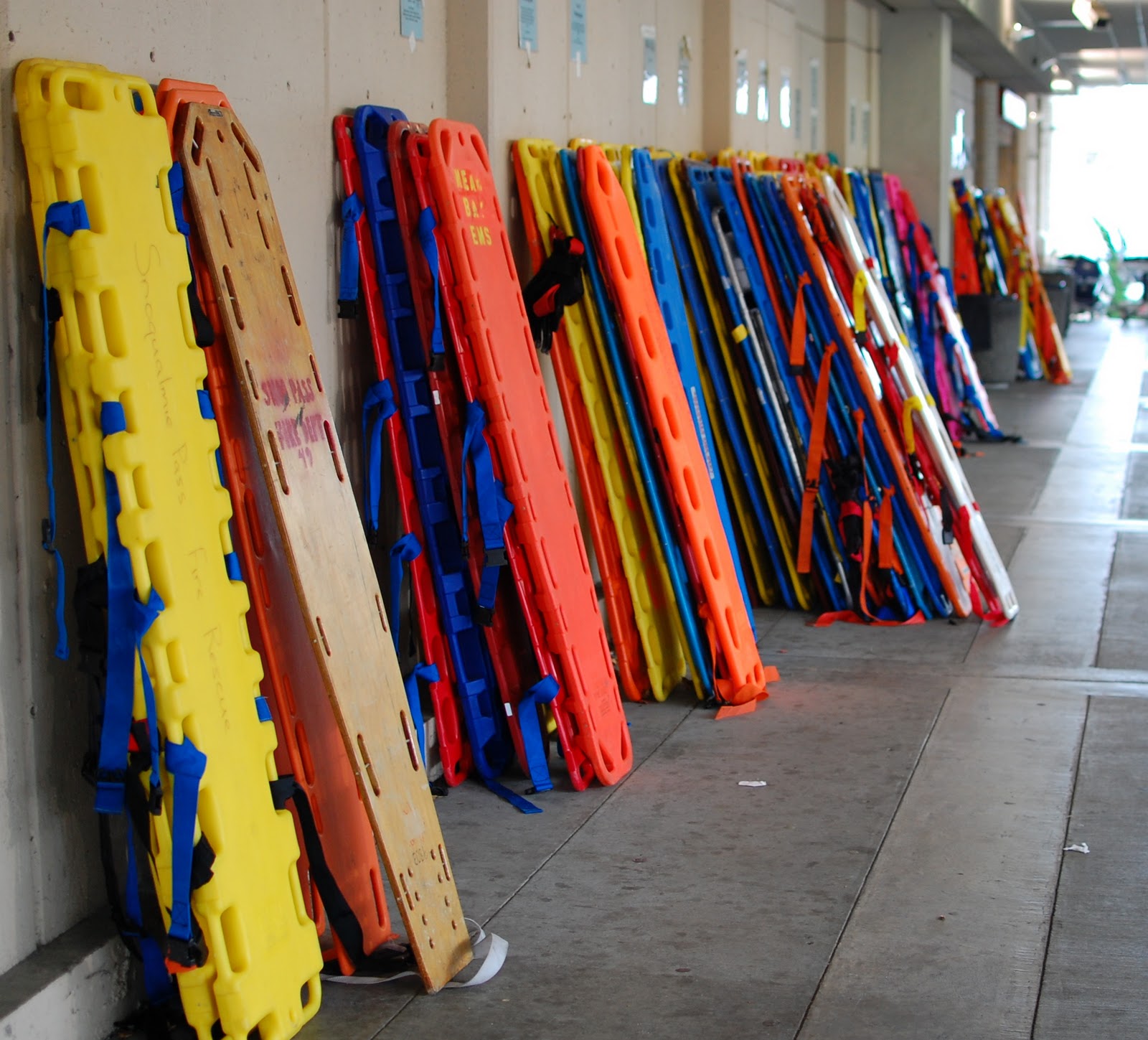 Monkey Puzzle Blog Harborview Backboards