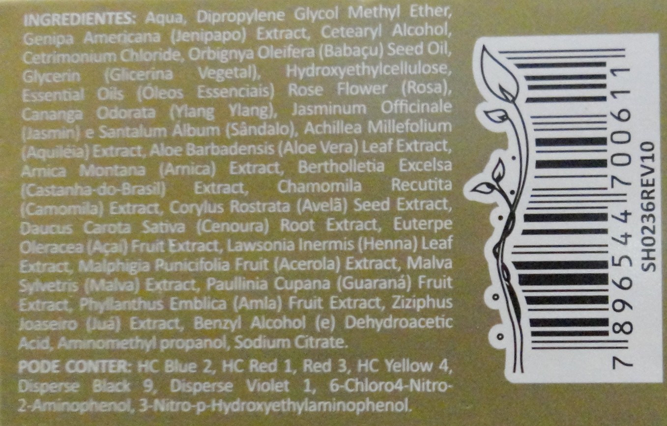 Blog Vanessa Sial Testei Henna Creme Surya Brasil