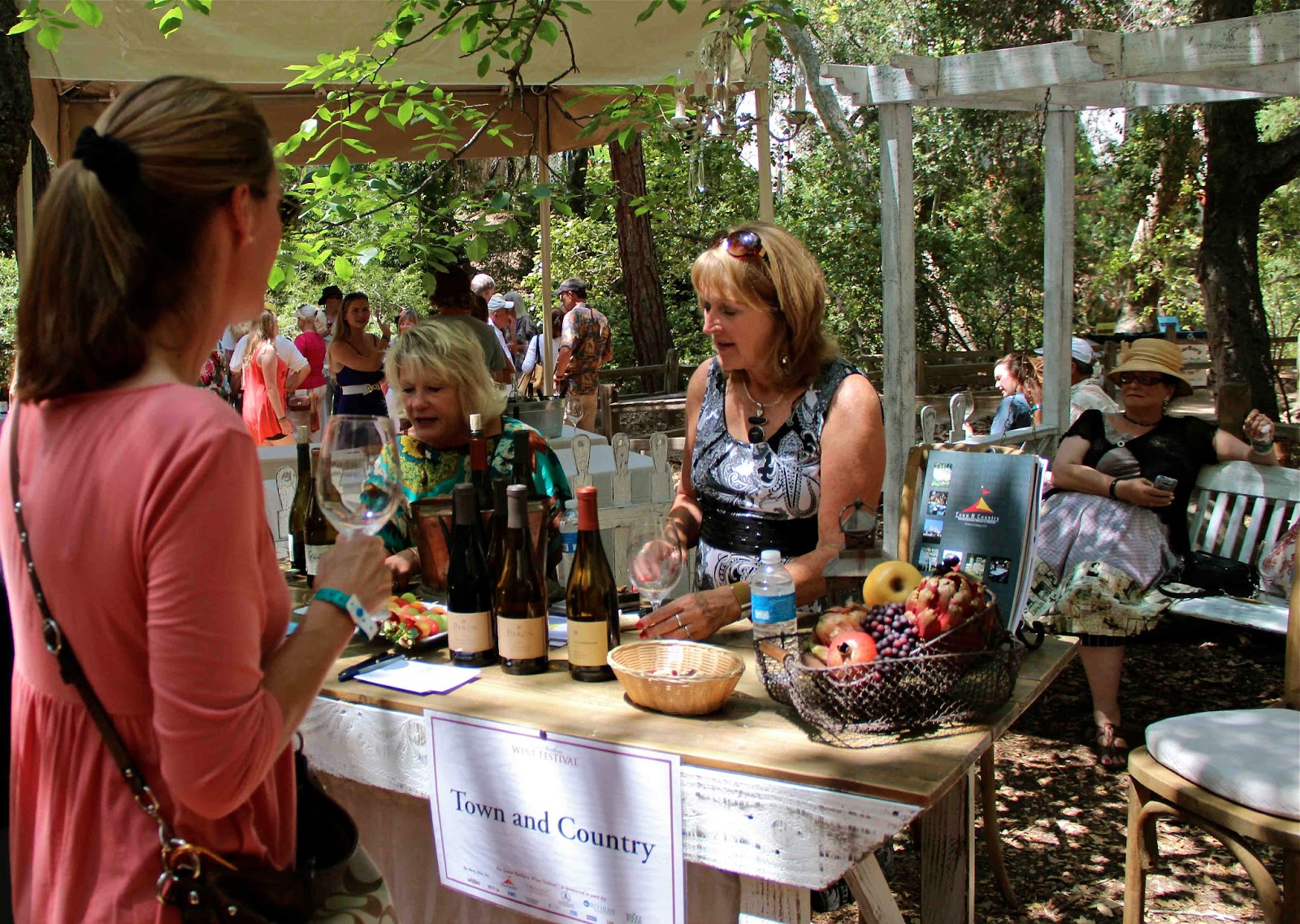 Taste N Trip Santa Barbara Wine Fest Museum 2013