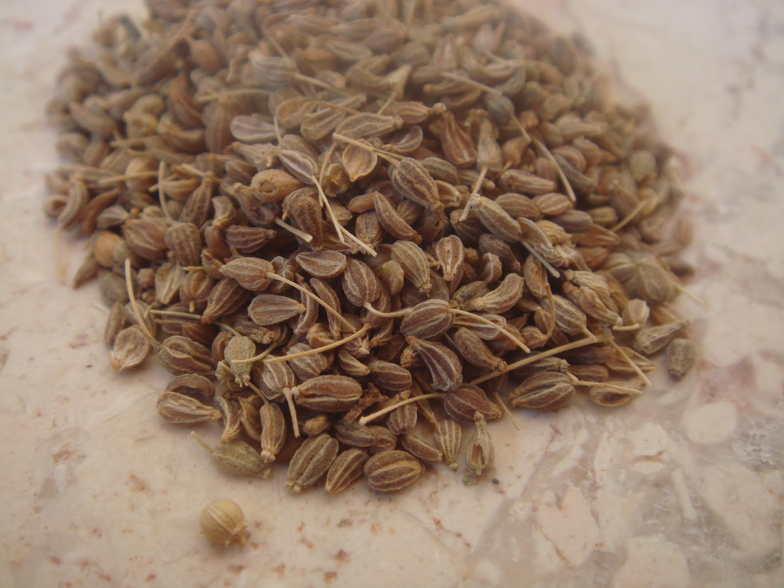 HEALTHABITS A Brief Introduction to Anise