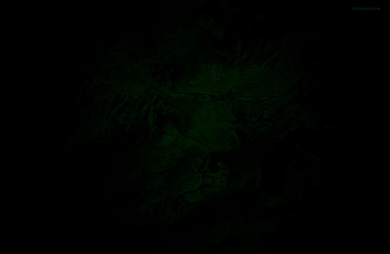 Dark Green Wallpapers Wallpaper Cave Dark Green Wallpapers Wallpaper Cave