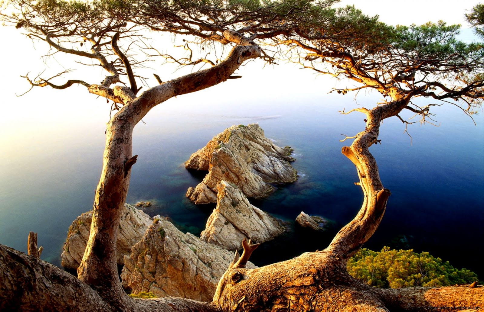 Pine De Mar Costa Brava Pine De Mar Costa Brava