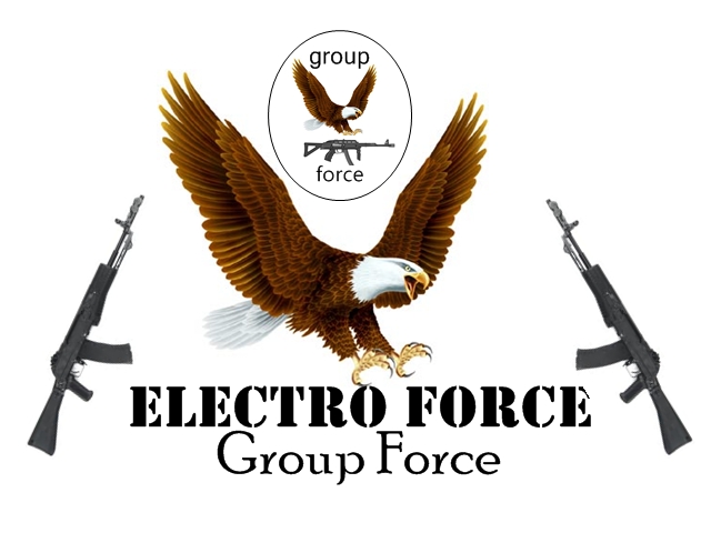 the group force EF logo