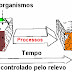 AULA Solo