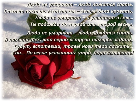 Поздравление никиты песни Поздравление никиты песни