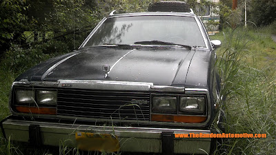 1980 amc eagle station wangon abandoned skagway alaska random automotive rotting in style