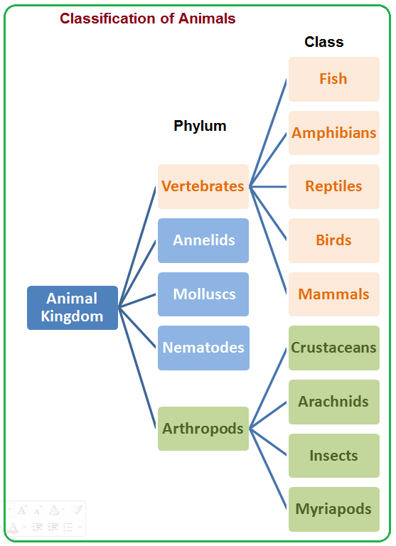 Biology Notes for IGCSE 2014 & 2024: # 4: Animal Kingdom - Classification