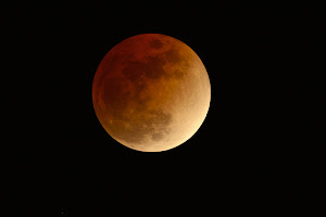 2008 Lunar Eclipse from backyard.