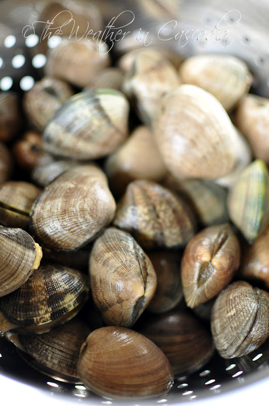 The Weather in Cascadia dutch oven love spicy roasted clams with