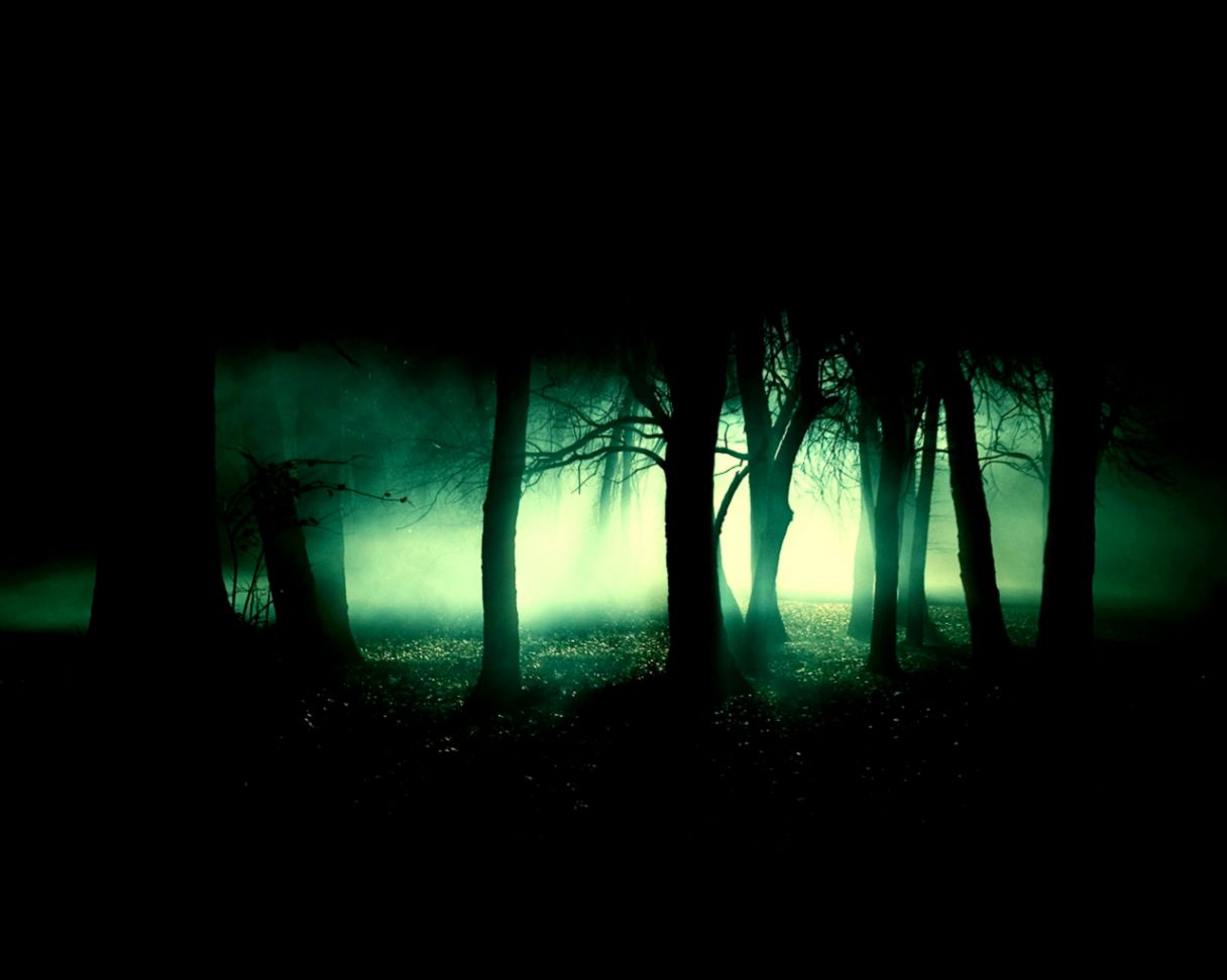 Dark Forest Night Dark Forest Night