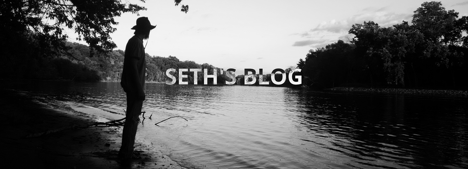 seth's blog