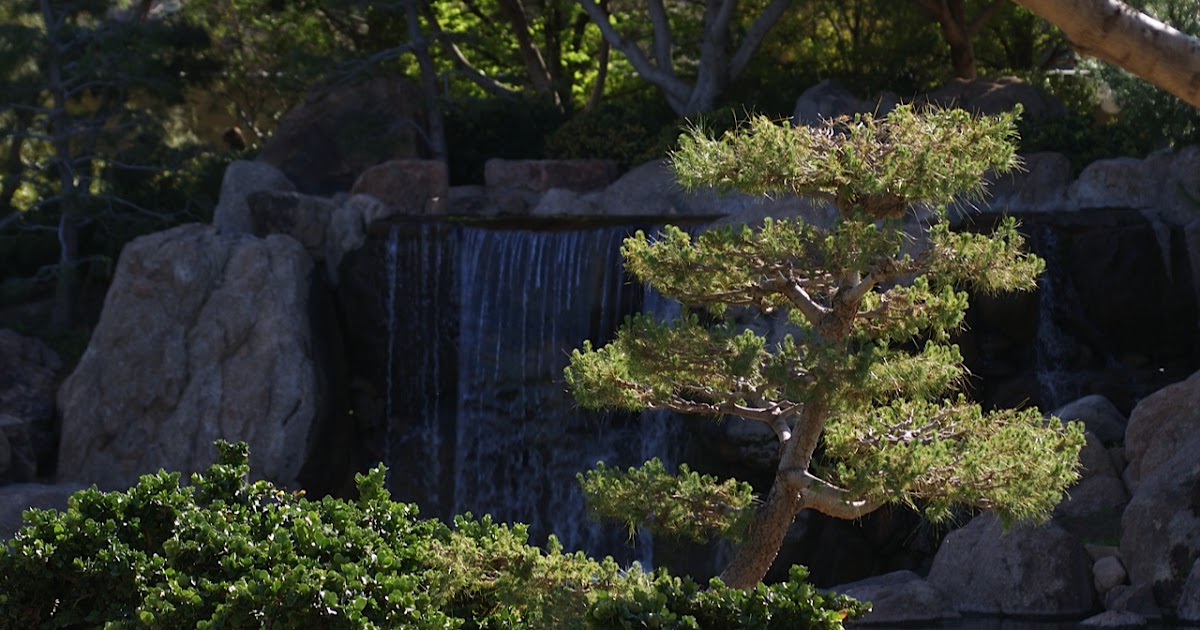 Phoenix Daily Photo: Japanese Garden