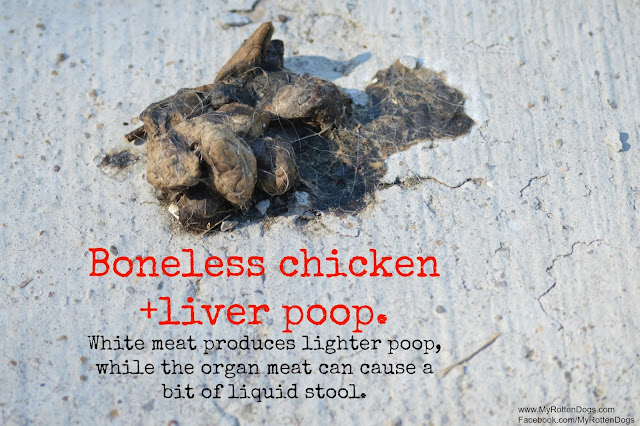 black liquid poop dog black liquid poop dog