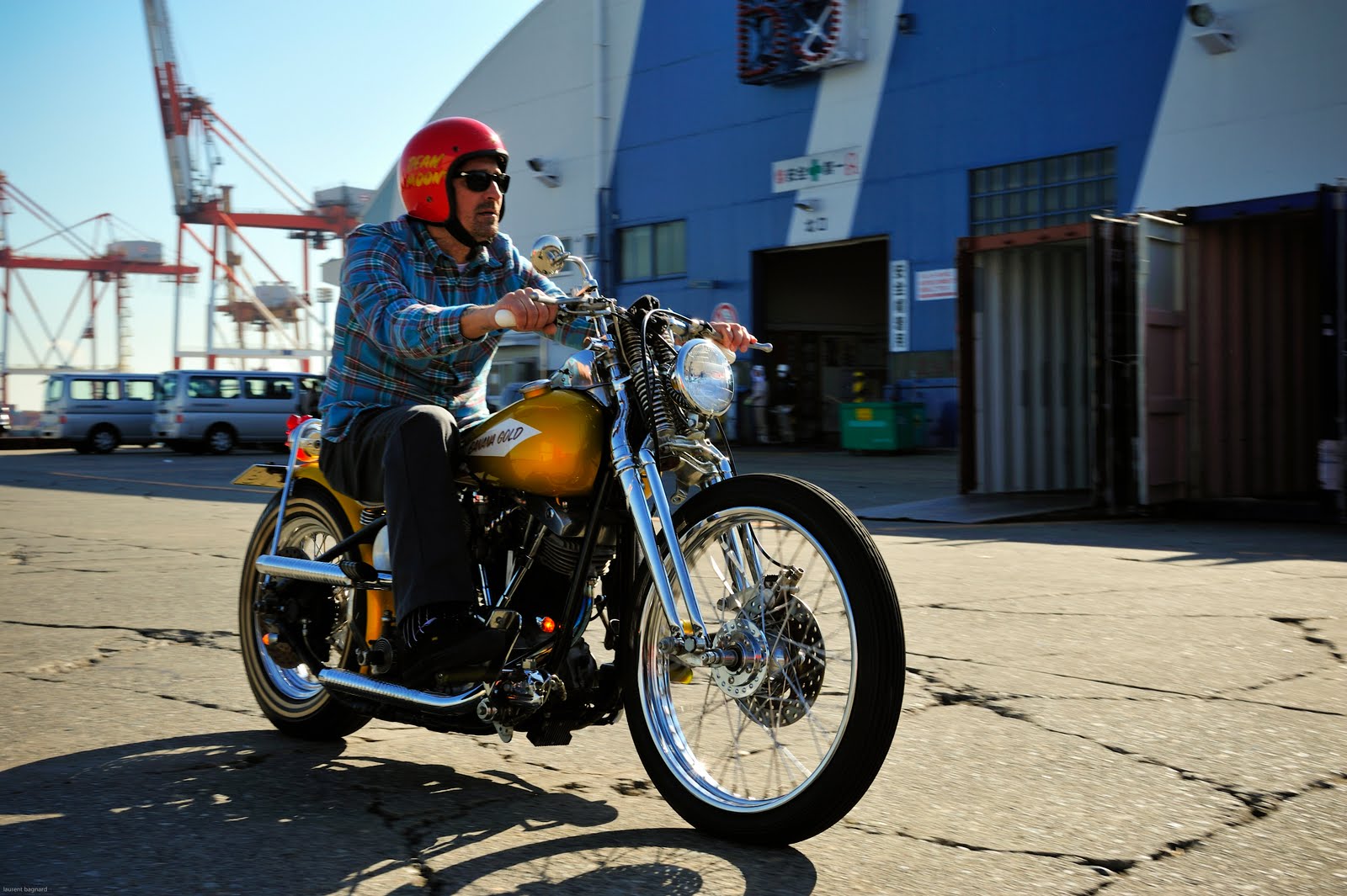 rat rod sportster