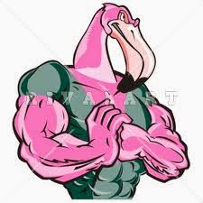 Pink Flamingo Power