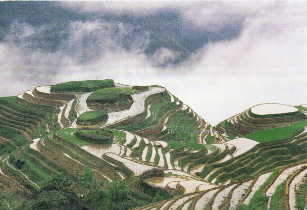 unesco-gforpcrossing china - cultural