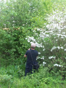 My son Jimmy took several pictures at the lake, the Dogwood was one of several that he took.