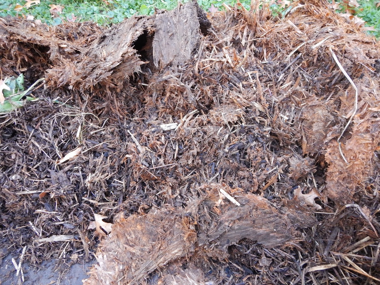 Day by Day Homesteading: The Art of Creating Resiliency, One Day at a