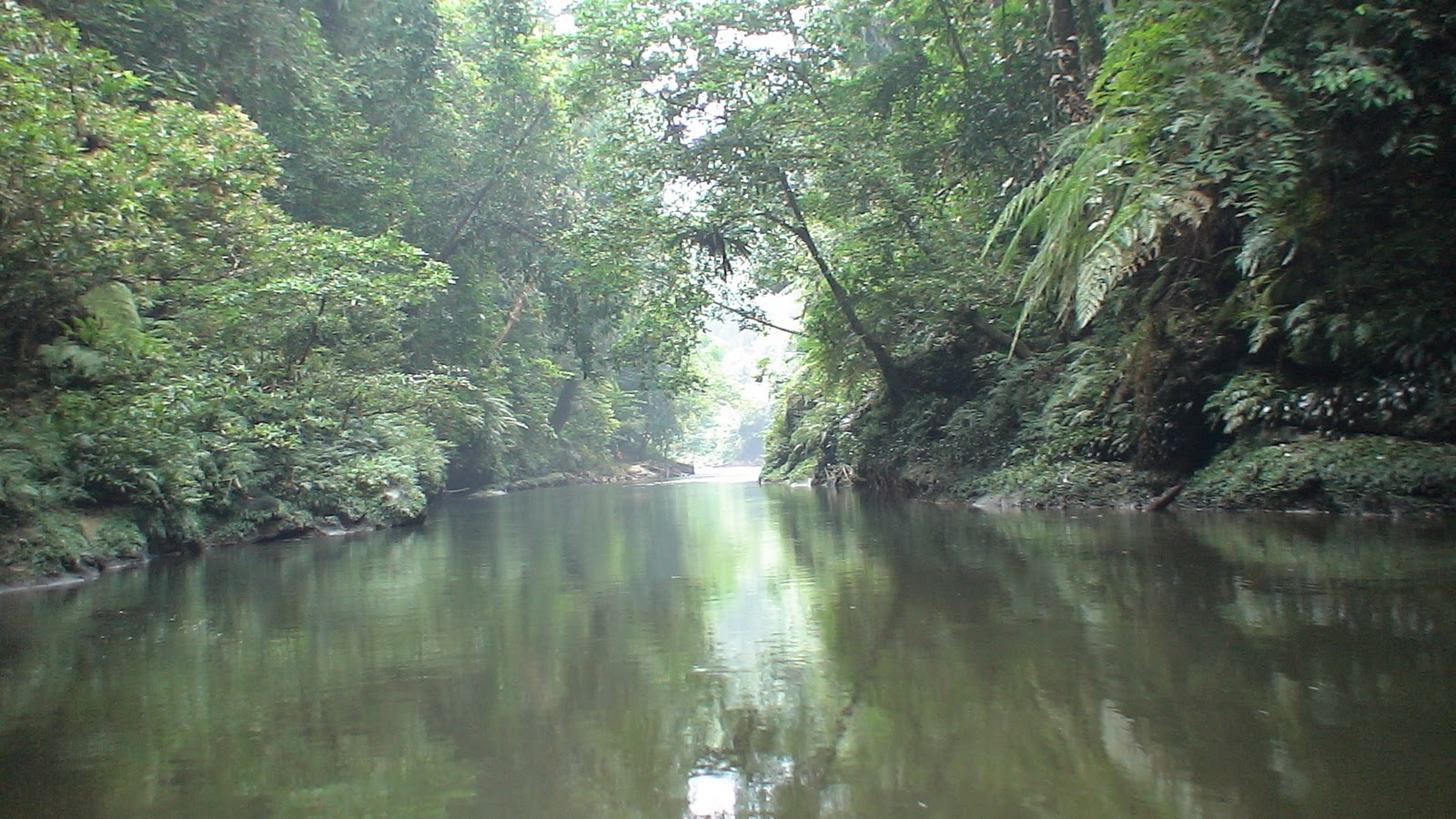 Gansal River: TAMAN NASIONAL BUKIT 30
