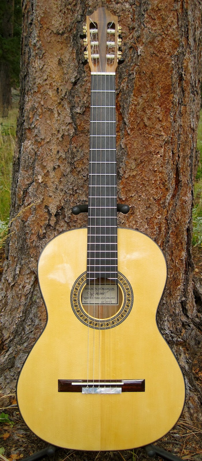 Antonio Torres Guitar